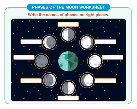 phases of the moon worksheet for grade 3